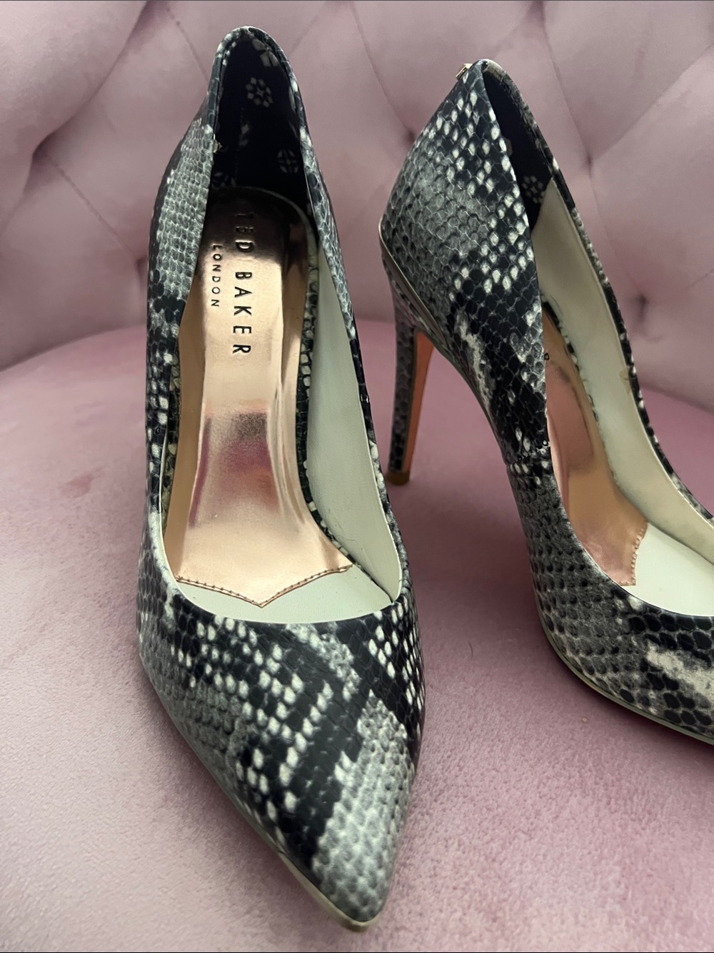 Ted Baker London Snake-Print Pointed Stiletto Pumps - Black & Gray